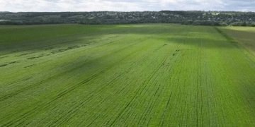 The spring planting season of crops has ended in the Kashira region