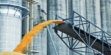 Kalmykia plans to create a network of elevators to increase processing of agricultural products