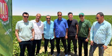 Advancements in Sugar Beet Cultivation and Crop Varieties in Egypt