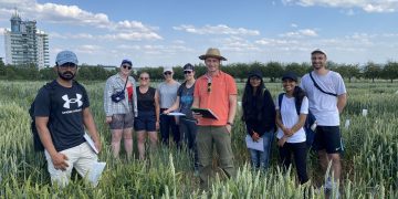 Practical Agricultural Education at Universität Hohenheim: Innovations in Crop Breeding