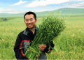 From Crisis to Triumph: The Global Journey of Natural Oats