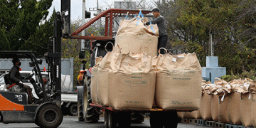 Gangjin’s Premium Rice Oats Begin Full-Scale Procurement.