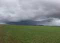 Weather Impacts and Market Shifts: Updates from Victoria’s Agricultural Front