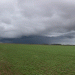 Weather Impacts and Market Shifts: Updates from Victoria’s Agricultural Front