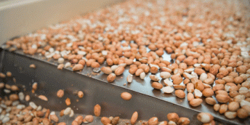 Streamlining Export Processes: Argentina Reduces Required Declarations for Agricultural Products