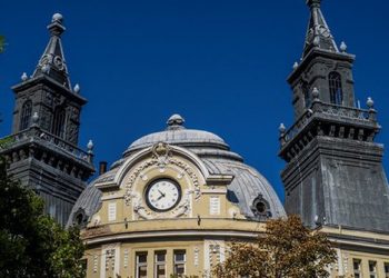 Bulgaria Sets Eco-Scheme Rates for Crop Diversification in 2023