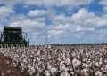 Cotton Growers to Contribute to Fatigue Management Project