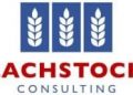 Global Agriculture Market Update: June 2024
