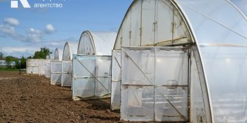 Illegal Cannabis Cultivation in Crimea Highlights Legal Challenges