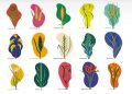 Millets: the popular climate-resilient crops in Africa and Asia