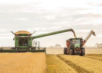 SunRice Group Achieves Record Revenue and Net Profit Growth in FY24