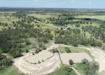 Investment and Sales Surge in Queensland Agriculture