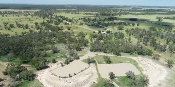 Investment and Sales Surge in Queensland Agriculture