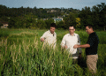 Pioneering Dryland Rice: A Breakthrough in Climate-Smart Agriculture