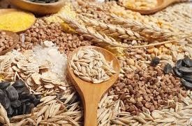 Understanding Cereal Grains: Key Nutritional and Economic Importance