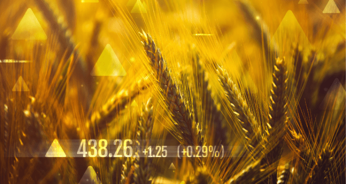 Global Wheat Market Set for Significant Growth by 2032