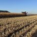 Southern Queensland Leads Sorghum Production; NSW Tops Corn Output