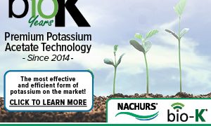 Late-Season Herbicide Strategies for Corn: Effective Solutions for Weed Management