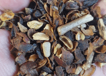 MAPA Releases List of Unsafe Roasted Coffee Brands and Batches