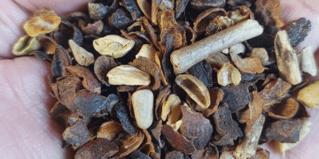 MAPA Releases List of Unsafe Roasted Coffee Brands and Batches