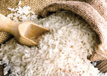 Bolivian Rice Production Secured with Government Support Initiatives