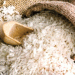 Bolivian Rice Production Secured with Government Support Initiatives