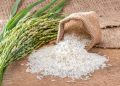 Crop Diversification Incentives: Why a ₹35,000 Per Hectare Payment for Shifting from Rice?