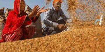 Government Initiatives to Mitigate Wheat Price Hike: An Insight into India’s Market Strategy