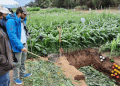 Sustainable Farming Practices: Key to Bolivia’s Grain Production