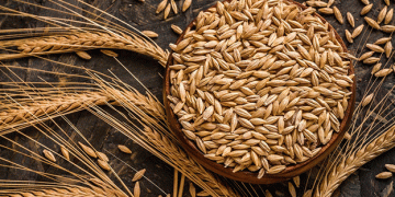 Export Duty on Wheat Reduced by 6.4%, Barley and Corn Remain Zero