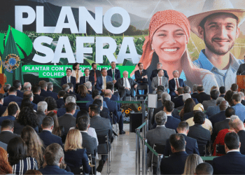 New Harvest Plan 24/25: More Resources and 63% More Efficient