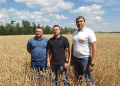Kuban Farms Innovate with Mosaic Wheat Varieties to Combat Heat: The Strongest Survive