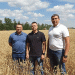 Kuban Farms Innovate with Mosaic Wheat Varieties to Combat Heat: The Strongest Survive