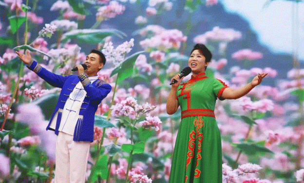 Promoting Buckwheat: The 2024 China Kangbao Buckwheat Industry Season and Third “Lover’s Flower” Cultural and Ecological Tourism Carnival