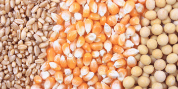 Brazil’s Ministry of Agriculture Sets Minimum Prices for Summer and Regional Products: Implications for Farmers