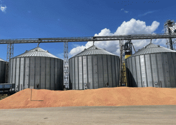 Kazakhstan’s Grain Storage Crisis: Immediate Solutions and Long-Term Strategies