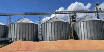 Kazakhstan’s Grain Storage Crisis: Immediate Solutions and Long-Term Strategies