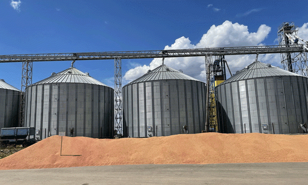 Kazakhstan’s Grain Storage Crisis: Immediate Solutions and Long-Term Strategies