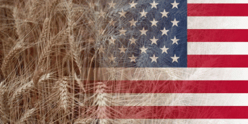 The USDA reports that 75% of the US spring wheat crop is in good or excellent condition.