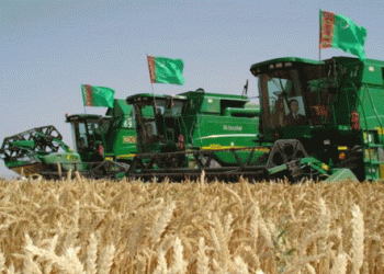 Forced Wheat Transport: Private Truck Drivers Compelled to Assist in Turkmenistan’s Harvest