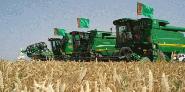 Forced Wheat Transport: Private Truck Drivers Compelled to Assist in Turkmenistan’s Harvest