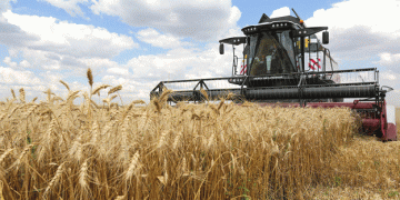 Russia Sets Wheat Export Record: A Game Changer for Global Markets