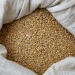Turning Spoiled Wheat into Biofuel: The Innovative Ultrasonic Method from Chelyabinsk