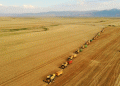 Turkey Produces 250 Kilograms of Wheat Per Capita: A Deep Dive into Fascinating Agricultural Data