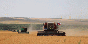 Stavropol Farmers Harvest 3.3 Million Tons of Wheat by Early July