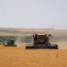 Stavropol Farmers Harvest 3.3 Million Tons of Wheat by Early July