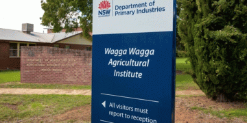 Revolutionizing Crop Resistance: NSW’s Groundbreaking Breeding Method