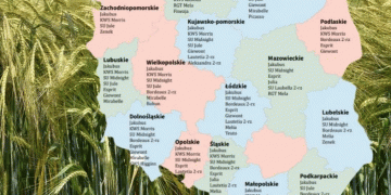 Recommended Winter Barley Varieties for the 2024/2025 Season: A Comprehensive Guide