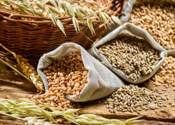 Daily Agricultural Market Update: Trends, Prices, and Insights