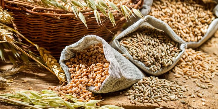 Daily Agricultural Market Update: Trends, Prices, and Insights